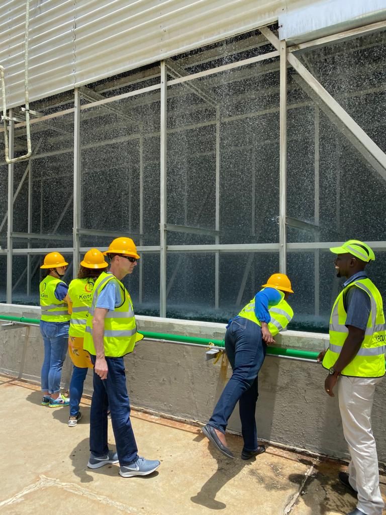 Eenovators engineers conducting a site energy audit